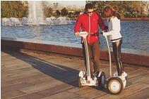 Market limitations of the self-balancing electric scooter industry